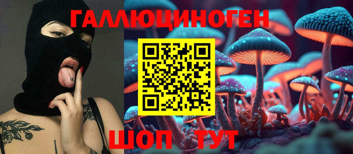 Фурманов  Галлюциногенные грибы MAGIC MUSHROOMS  Вход с VPN  Галлюциногенные грибы GOLDEN TEACHER 