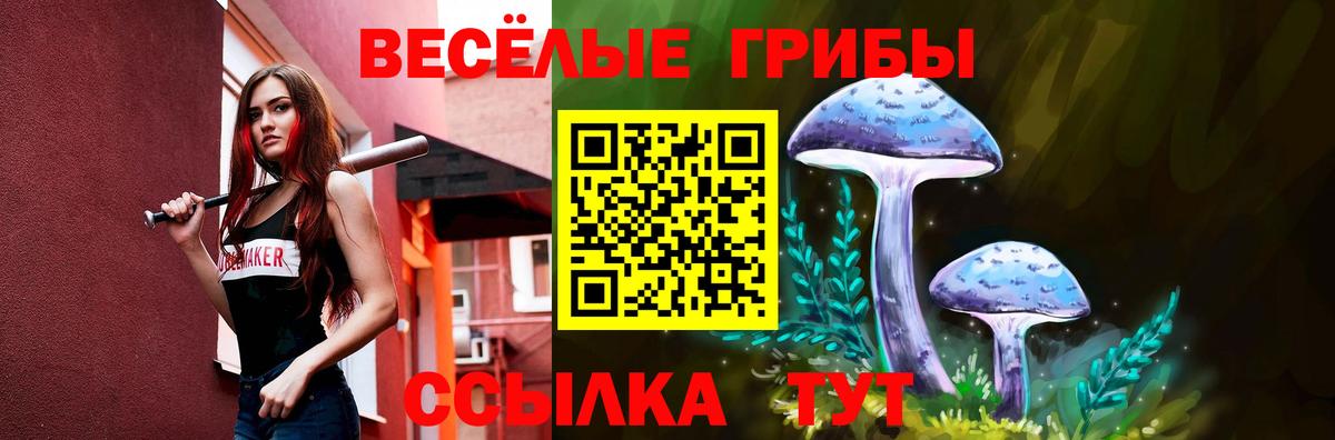 Псилоцибиновые грибы Psilocybe Фурманов