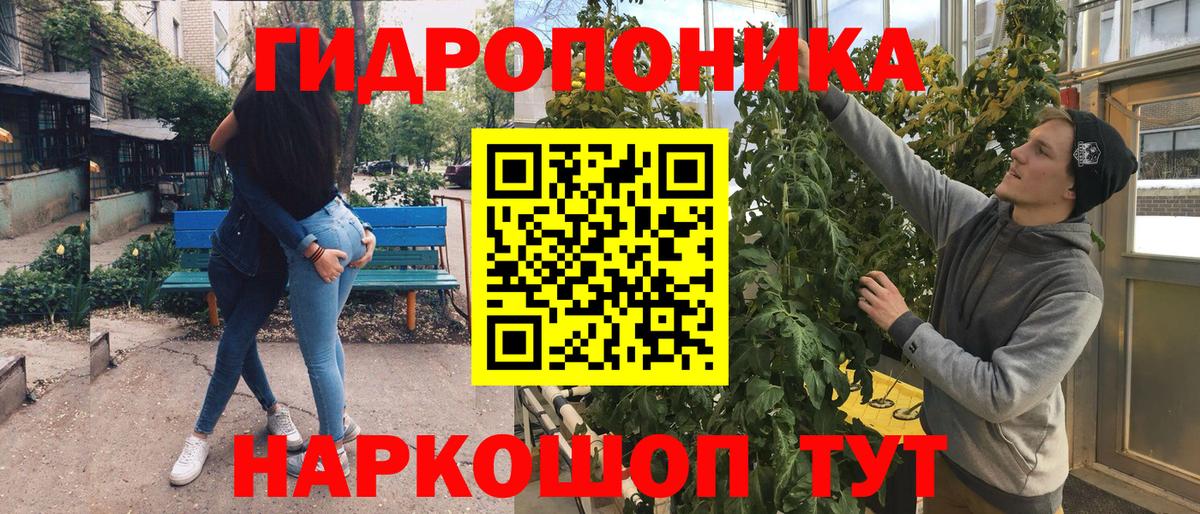 Фурманов  Бошки Шишки индика  Вход с VPN  Шишки марихуана OG Kush  Шишки марихуана планчик 
